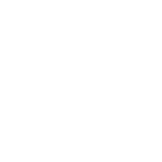 denchik2409's emblem