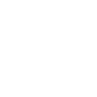 S4 Vader's emblem