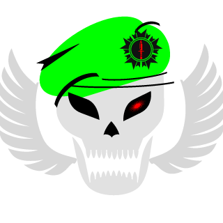 Zvezda_Commander's emblem
