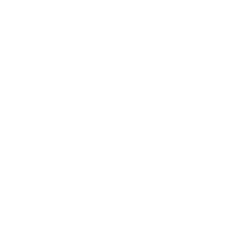 slayyer98's emblem