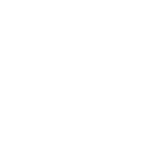 BrandBoost's emblem
