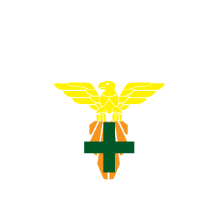 96-snafu's emblem
