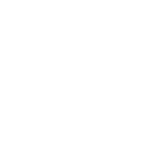 SturmShutce's emblem