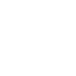 cirdo's emblem