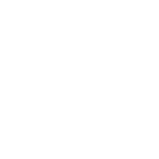 Shiiftninja's emblem