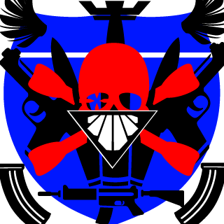 _1C3FIGHTER_'s emblem