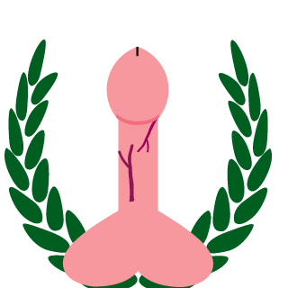 SKYRON-CT1738's emblem