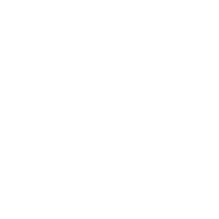 Shmupdup's emblem