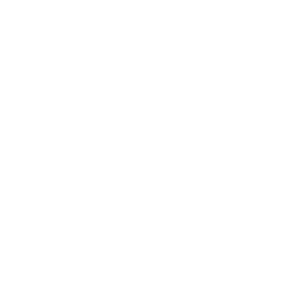Caleb411's emblem