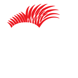 JacksonPlay68's emblem
