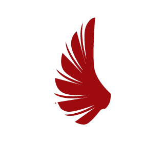 DiegoO0O's emblem