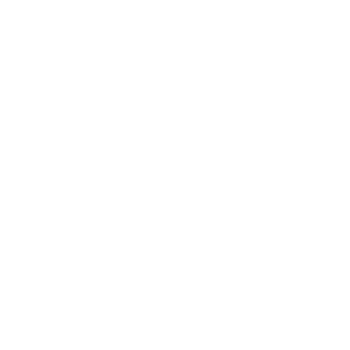04036's emblem