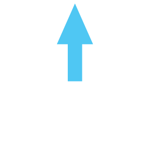 Rfky301's emblem