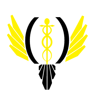 Niki81200's emblem