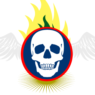 inivicibler's emblem
