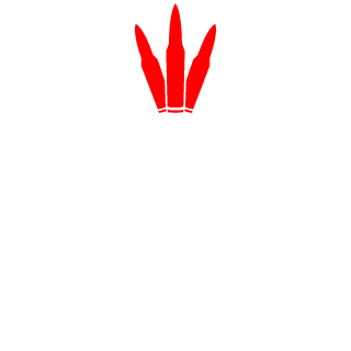 DullOne's emblem
