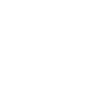 1qubiT's emblem