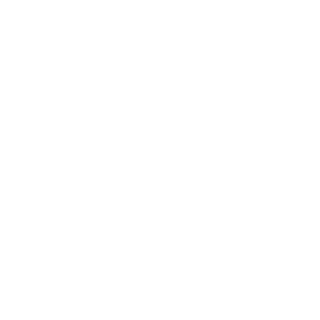 BDSLAY's emblem