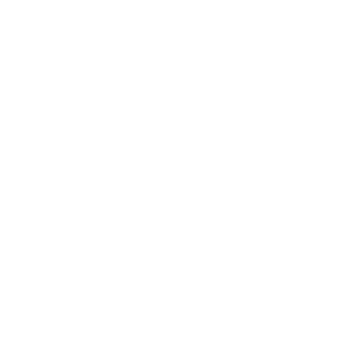ABOBA_BEBROV_228's emblem