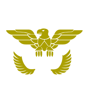 DuhDash7's emblem