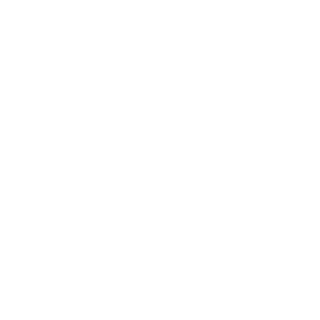 BW_ElectronicArt's emblem
