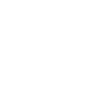 dVis1's emblem