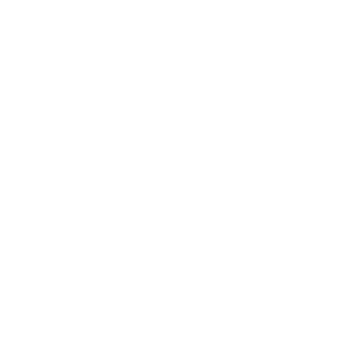 color311's emblem