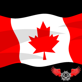 insanebinn's emblem