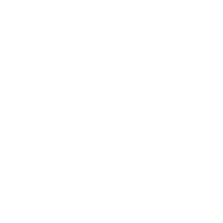 SilverWolf135's emblem