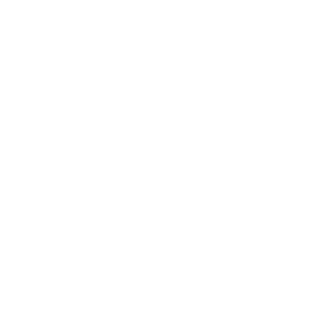 SloNnK's emblem
