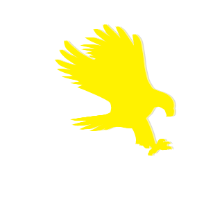 shahramking's emblem