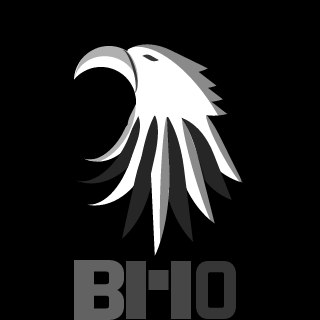 BlackHawk MilOrgnz's emblem