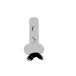 mastercrinkles's emblem