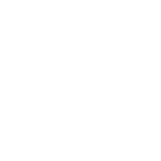 elzrm's emblem