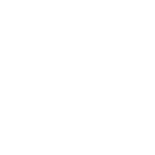 EvoNoFear's emblem