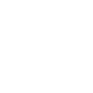IIcemoon's emblem