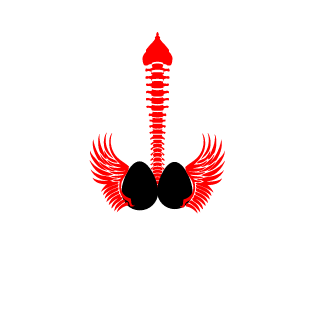 mrtorri's emblem