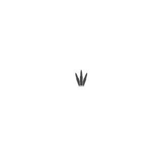 1stMaat's emblem