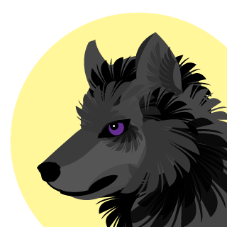 Sky5701's emblem