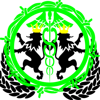 FICA_CZ's emblem
