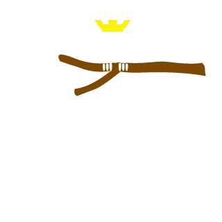 ShrimpMaster80's emblem
