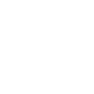 shlang-igor's emblem