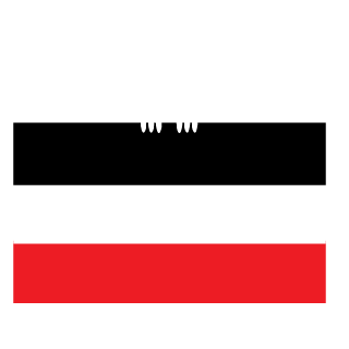 destrcr1987's emblem