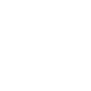 Veloceity's emblem