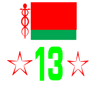 TRINADZATI's emblem