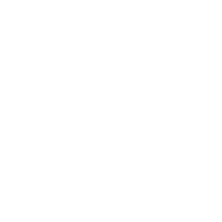 hsalf333's emblem