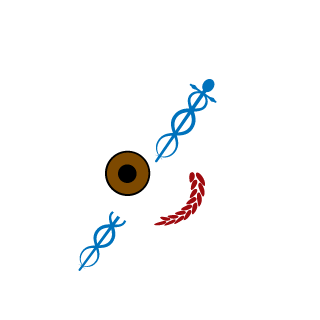 p2wbloodtype's emblem