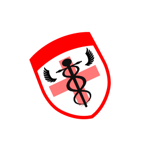 II 808Cuban II's emblem