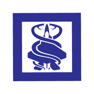 XQIJODuduZin's emblem