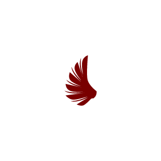 nybdboy's emblem